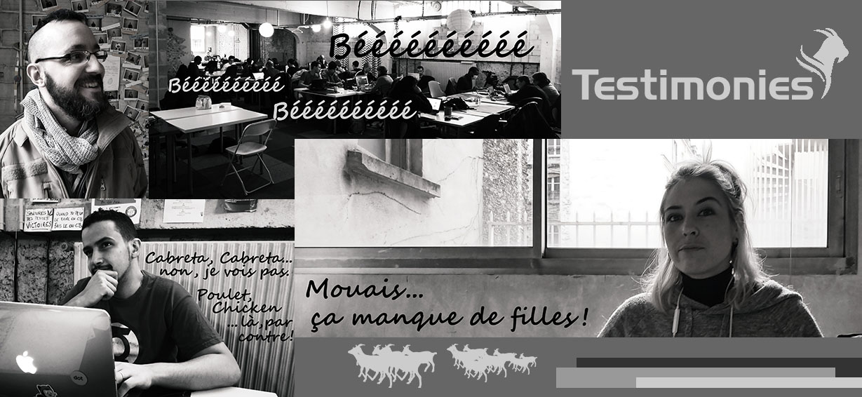 Testimonies